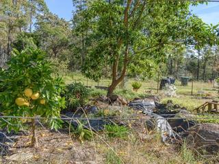 51 Boobook Crescent Bodalla-1906