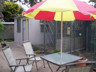 courtyard & shed