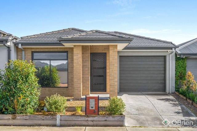 31 Remedy Drive, VIC 3978