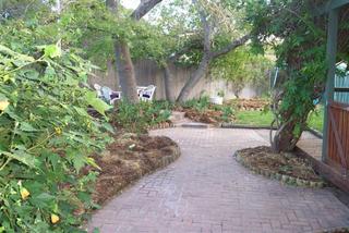 Courtyard area