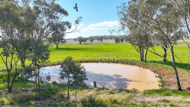 1174 New Winton Road, NSW 2340