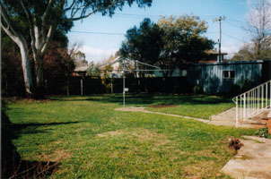 Backyard