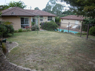 Backyard (2005-02-03)