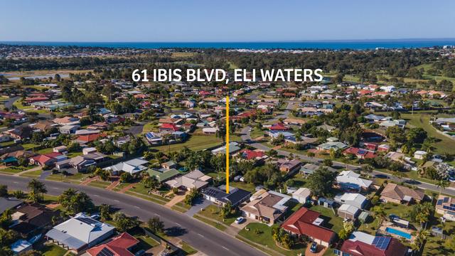 61 Ibis Boulevard, QLD 4655