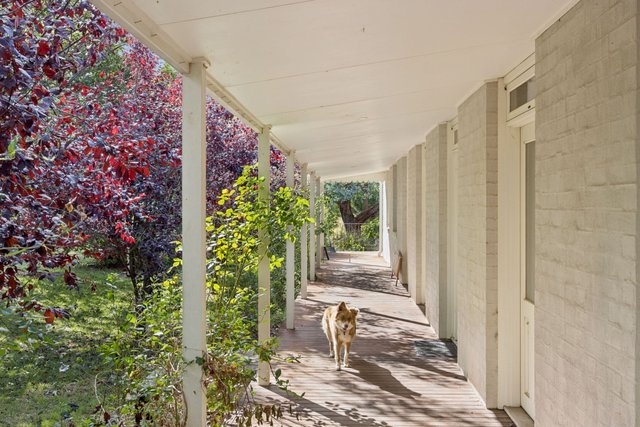 "Hazel Grove" 10 Murray St, NSW 2581