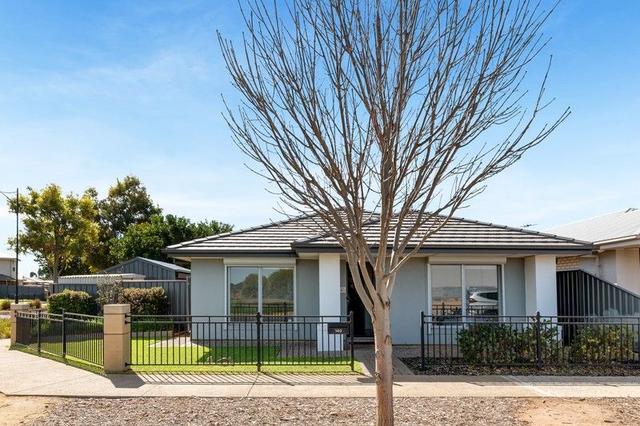 140 Petherton Road, SA 5114