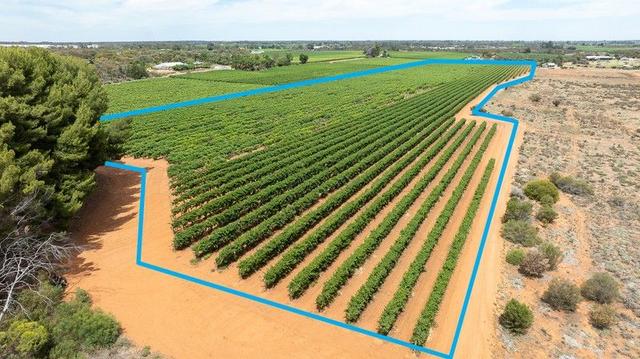 Lot 11 Battams Road, SA 5344