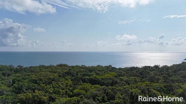 Lot 259 Silver Ash Road (Cow Bay), QLD 4873