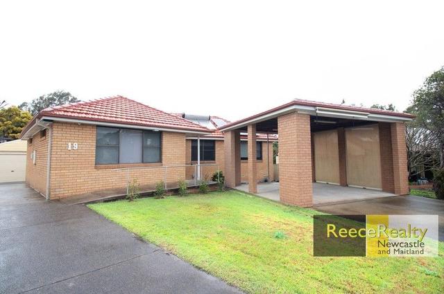 19 Lester Parade, NSW 2299