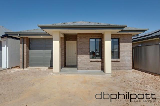 42 Lily Street, SA 5121