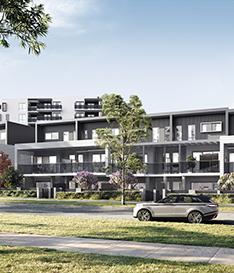 Aster - Aster, ACT 2611