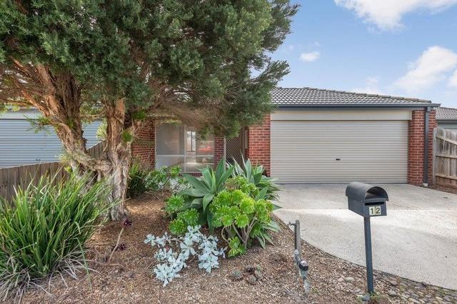 12 Lewin  Street, VIC 3201