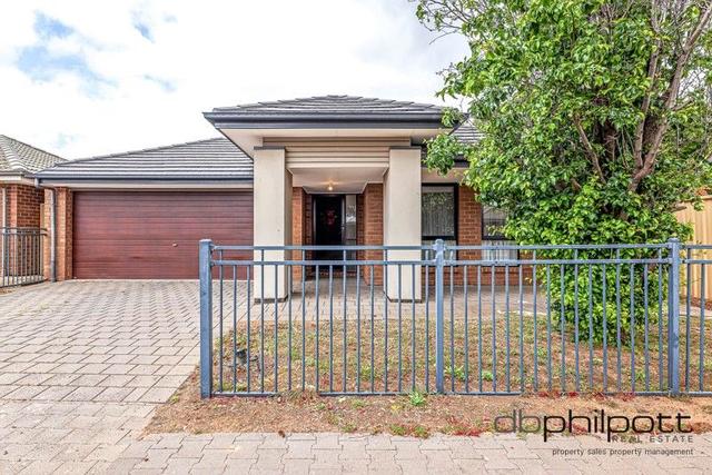 21 Saxon Street, SA 5114