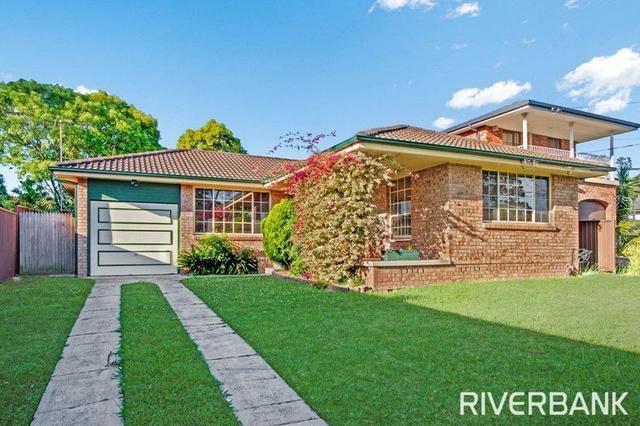41 Grevillea Crescent, NSW 2145