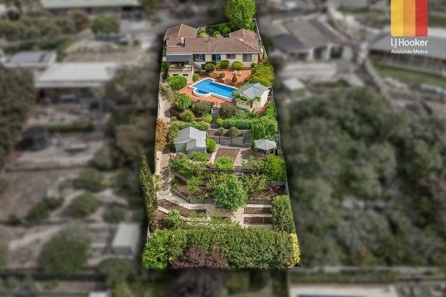 5 Lutana Grove, SA 5075