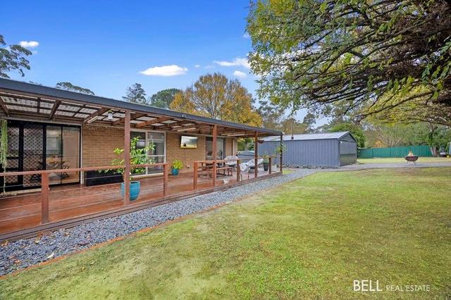 61 Braeside Drive, VIC 3139