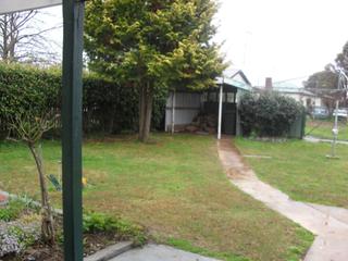 Backyard (2011-01-07)