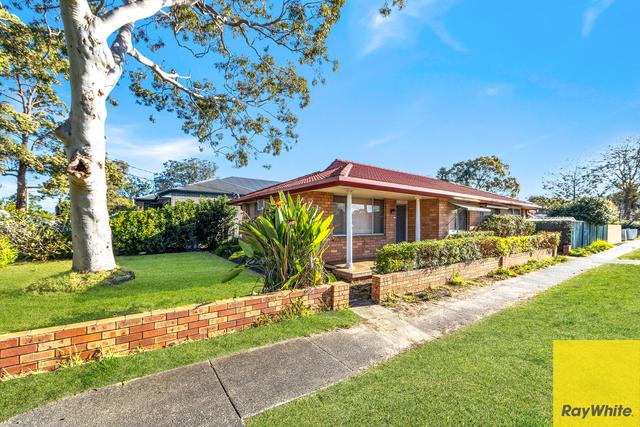 137 Trafalgar Avenue, NSW 2257