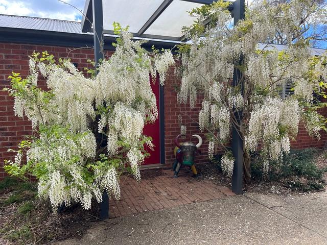 282 Doust Road, NSW 2621