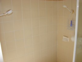 Double shower