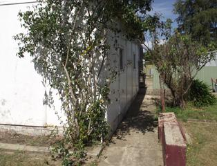 Backyard (2015-03-13)