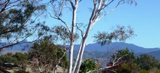 View (2013-05-14)