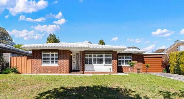 3 Allchurch Avenue, SA 5097