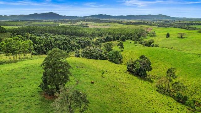 Lot 2/323 Hernon Road, QLD 4860