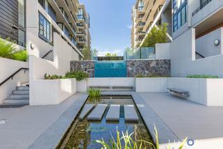 Water feature & pond (2020-01-23)