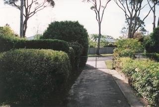 Driveway