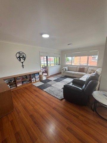 31 Hazel Street, NSW 2198