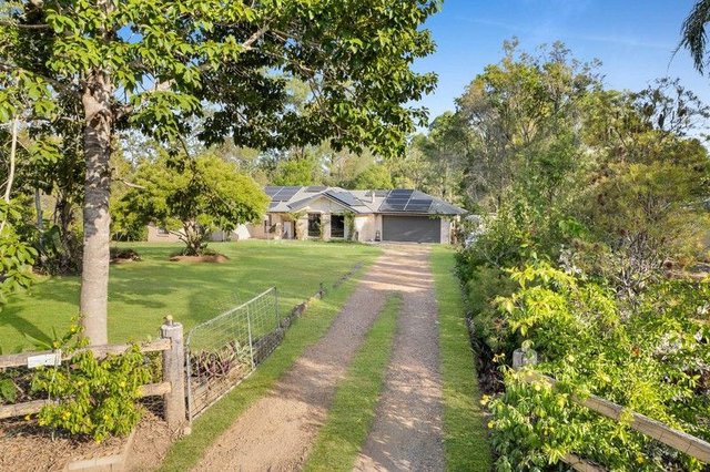 53 Sugar Gum Court, QLD 4280