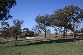 View from front gate