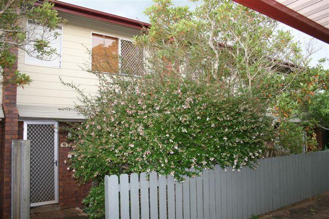 9/6 O'Brien Street, QLD 4350