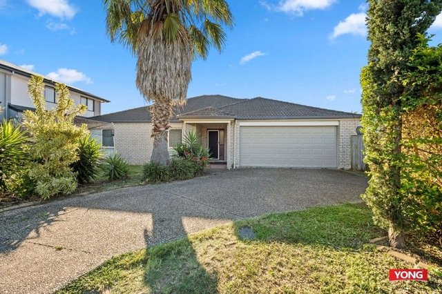 40 Gemview St, QLD 4116
