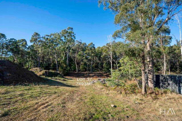 23 Connemara Close, TAS 7277