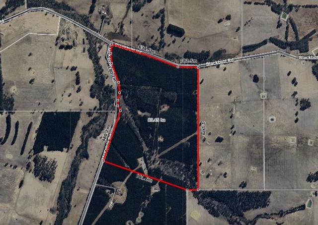 250 McKelvie Road, WA 6255