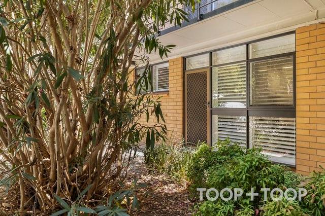 3/88 Sussex Street, SA 5006