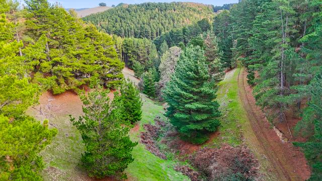 Lot 202 & 203 Lode Road, SA 5157