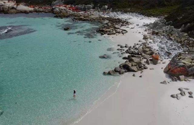 39 Honeymoon Point Road, TAS 7216