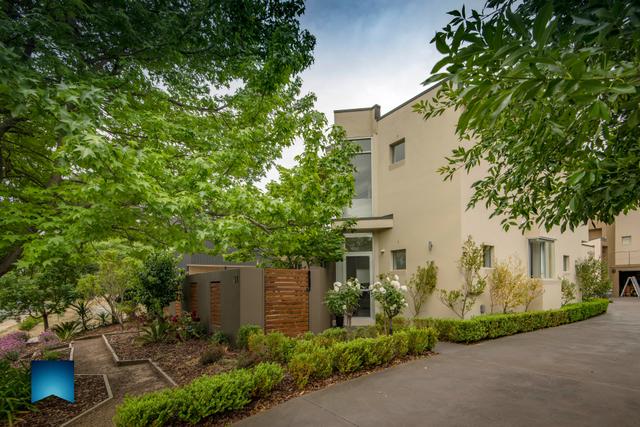 1/31 Hurley Street, ACT 2607