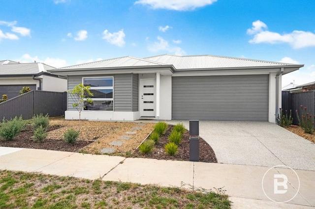 25 Martland Street, VIC 3350