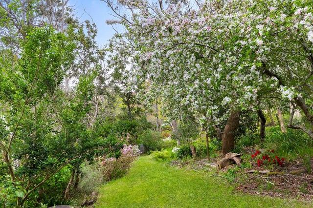 3 Wentworth Ave, NSW 2780