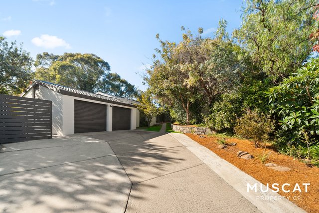 11 Themeda Place, ACT 2611