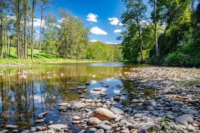 1314 Darkwood Road, NSW 2454