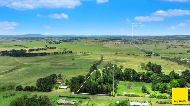 20 Pine Avenue, NSW 2350