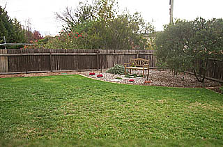 Rear yard (2004-06-09)