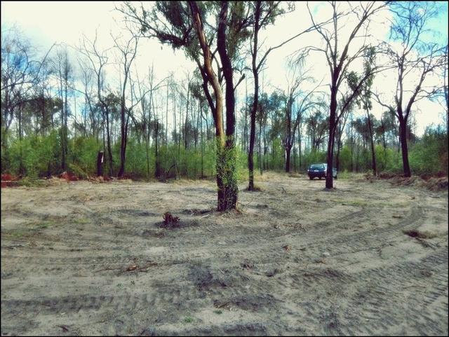 22 Violet Rd, QLD 4357