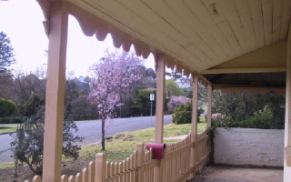 View from verandah