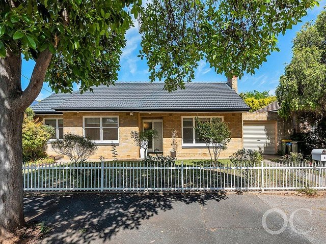 6 Glenloth Avenue, SA 5041